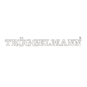 Logo Trueggelmann