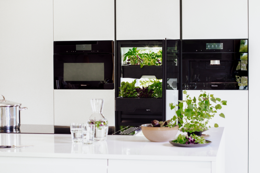 Geöffneter Plantcube von Agrilution mit frischen Greens in einer weißen Küche